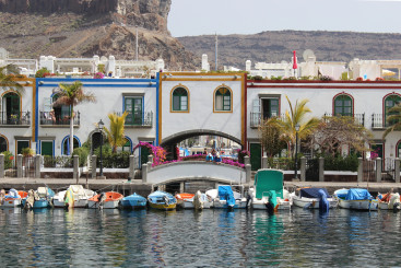 Dolphin Search and Mogán